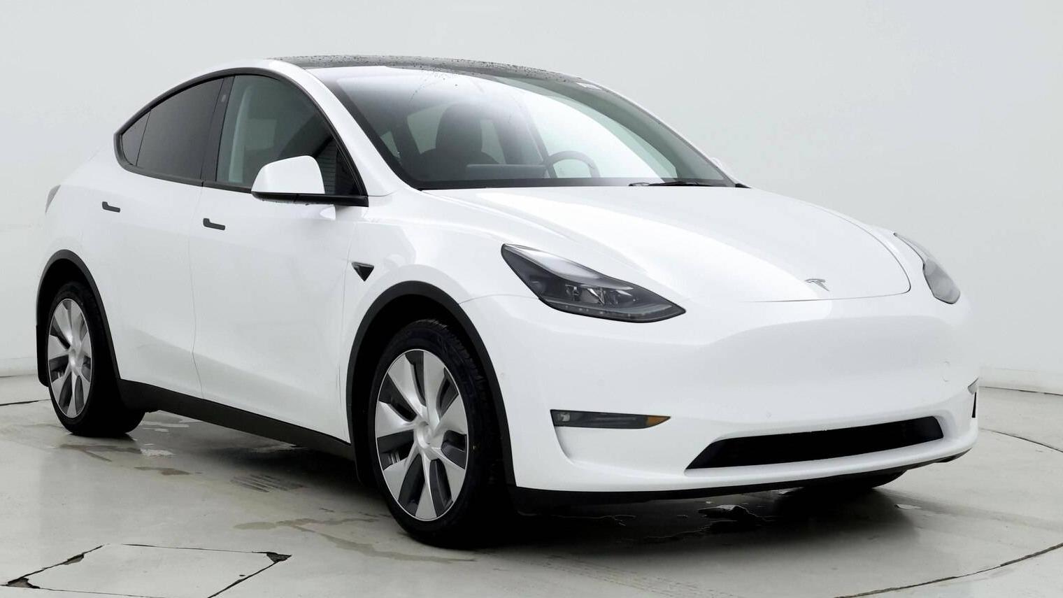 TESLA MODEL Y 2021 5YJYGDEE5MF186202 image